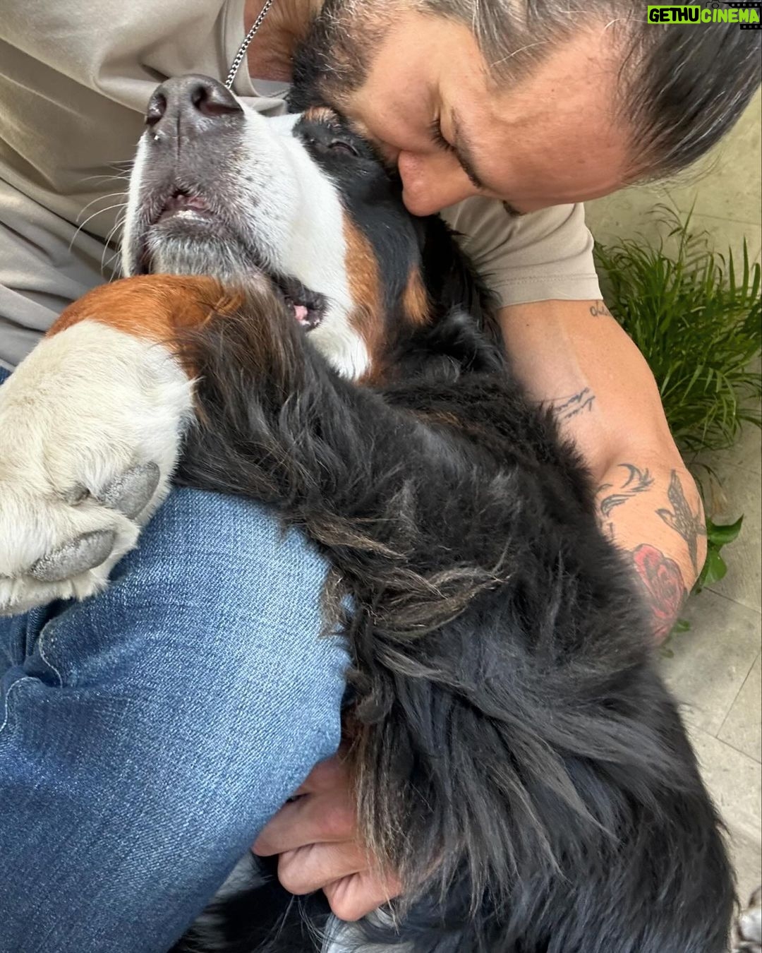 José Ron Instagram - Creemos que la felicidad está en el futuro y nos olvidamos de vivir el presente 🐶❤️