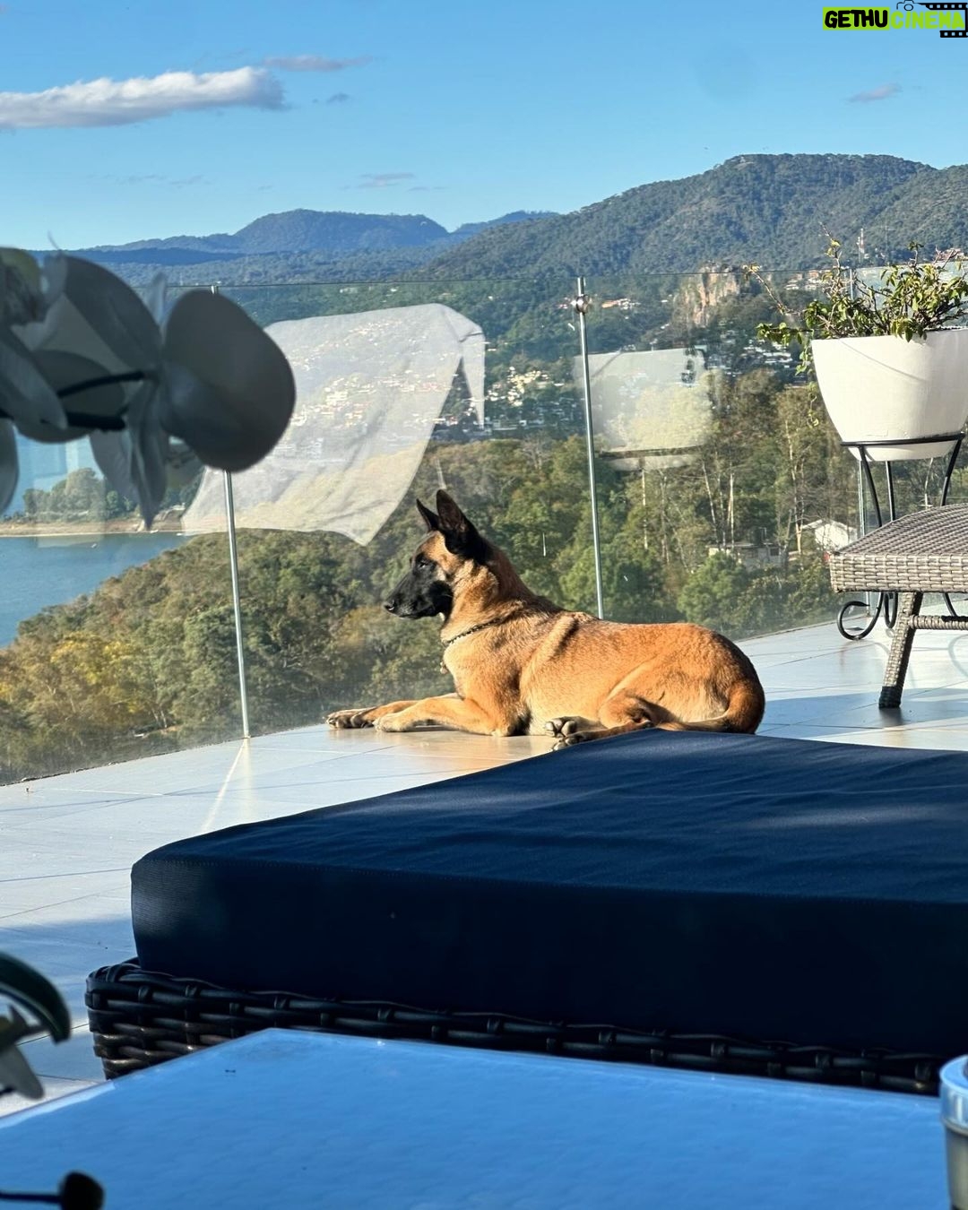 José Ron Instagram - Creemos que la felicidad está en el futuro y nos olvidamos de vivir el presente 🐶❤️