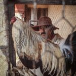 José Ron Instagram – Más fotos de nuestro Gallo de oro querido 🤗✨ 
Solo por @vix