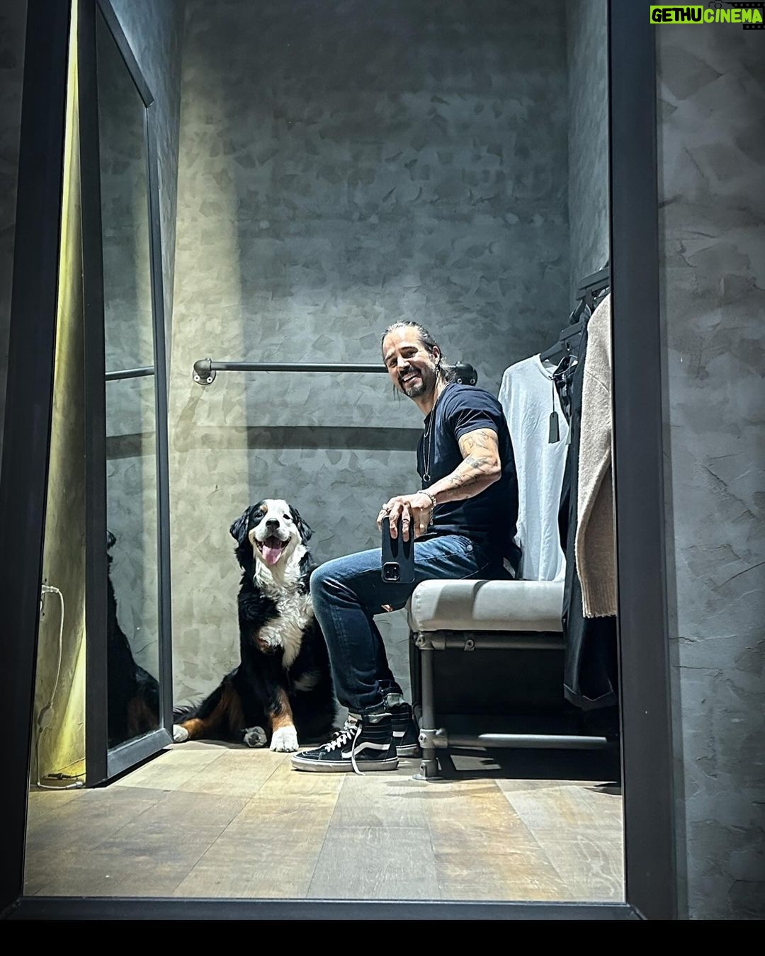 José Ron Instagram - Creemos que la felicidad está en el futuro y nos olvidamos de vivir el presente 🐶❤️