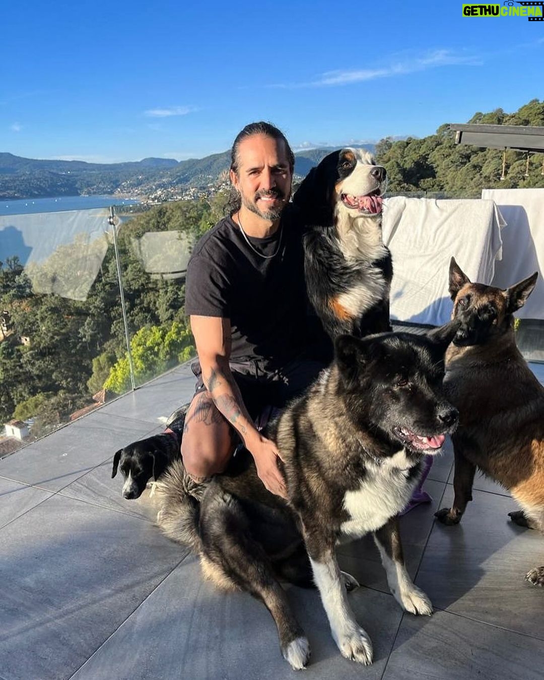 José Ron Instagram - Creemos que la felicidad está en el futuro y nos olvidamos de vivir el presente 🐶❤️