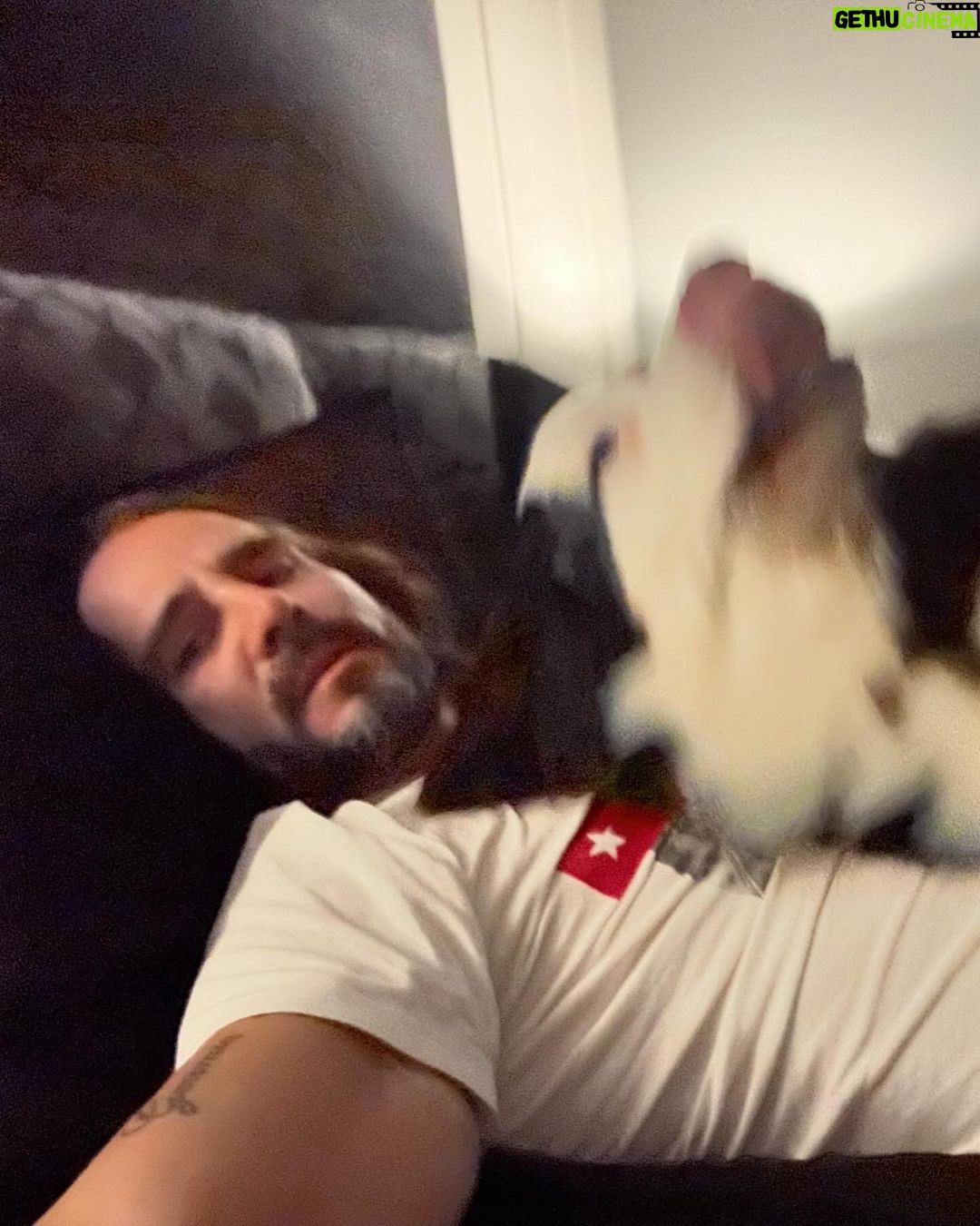 José Ron Instagram - Creemos que la felicidad está en el futuro y nos olvidamos de vivir el presente 🐶❤️