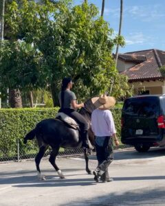 Joseline Hernandez Instagram - Junior me pone a trabajar 🤦🏽‍♀️ #pasofino