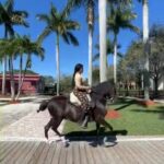 Joseline Hernandez Instagram - #pasofino