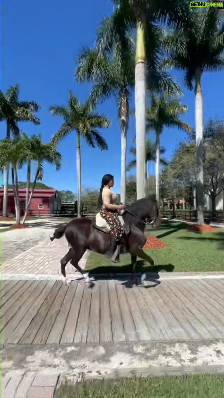 Joseline Hernandez Instagram - #pasofino