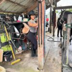 Joseline Hernandez Instagram - Spending Saturday with the #family 🐎🐎🐎🐎🐎 #pasofino Miami Beach, Florida