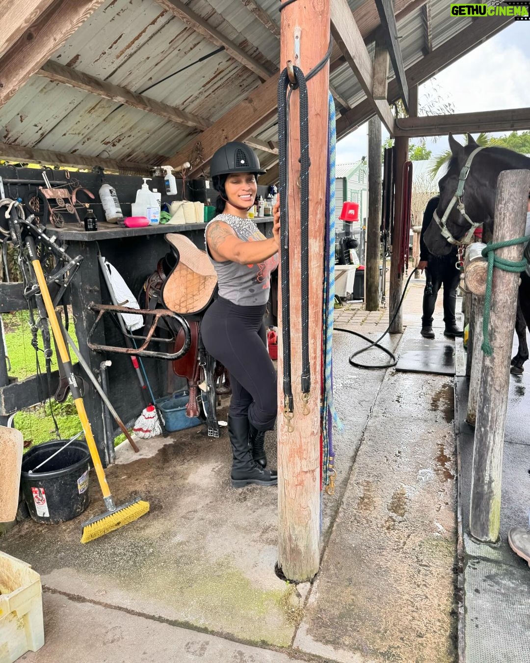 Joseline Hernandez Instagram - Spending Saturday with the #family 🐎🐎🐎🐎🐎 #pasofino Miami Beach, Florida