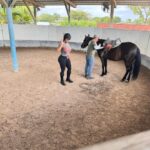 Joseline Hernandez Instagram - Spending Saturday with the #family 🐎🐎🐎🐎🐎 #pasofino Miami Beach, Florida