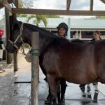 Joseline Hernandez Instagram - Spending Saturday with the #family 🐎🐎🐎🐎🐎 #pasofino Miami Beach, Florida