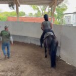 Joseline Hernandez Instagram - Spending Saturday with the #family 🐎🐎🐎🐎🐎 #pasofino Miami Beach, Florida