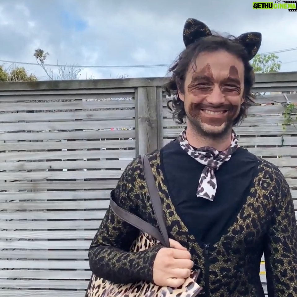 Joseph Gordon-Levitt Instagram - Halloween 2020 🐈