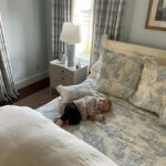 Josh Brolin Instagram - This is what parenting is. I hear the family upstairs having a Thanksgiving, and I am down here making sure my girl doesn’t fall off the edge of the bed when she wakes. She needs to sleep now and, like me, she’ll awake at the sounds of squealing kids pining to run for the small farm animals outside. She’s been sick, so every sleeping minute is another notch in her recovery. So I’ll sit and I’ll stare. I’ll gawk at how beautiful she is, or remember how just a moment ago she looked at me when dreams started to tickle at her in my arms: a last smile, that exhale coo, until finally she drifts off. I pretend that I’m here as security but know that there’s nowhere else I’d rather be than here watching you breathing in and breathing out, the red bow in your hair moving slightly with your breath, the cuffs of your sweater centered on the middle of your warm palms. There is nowhere else I’d rather be, my little angel, than here to experience you opening your eyes again, and smiling as if for the first time ever. ❤️🌹#chapelgrace