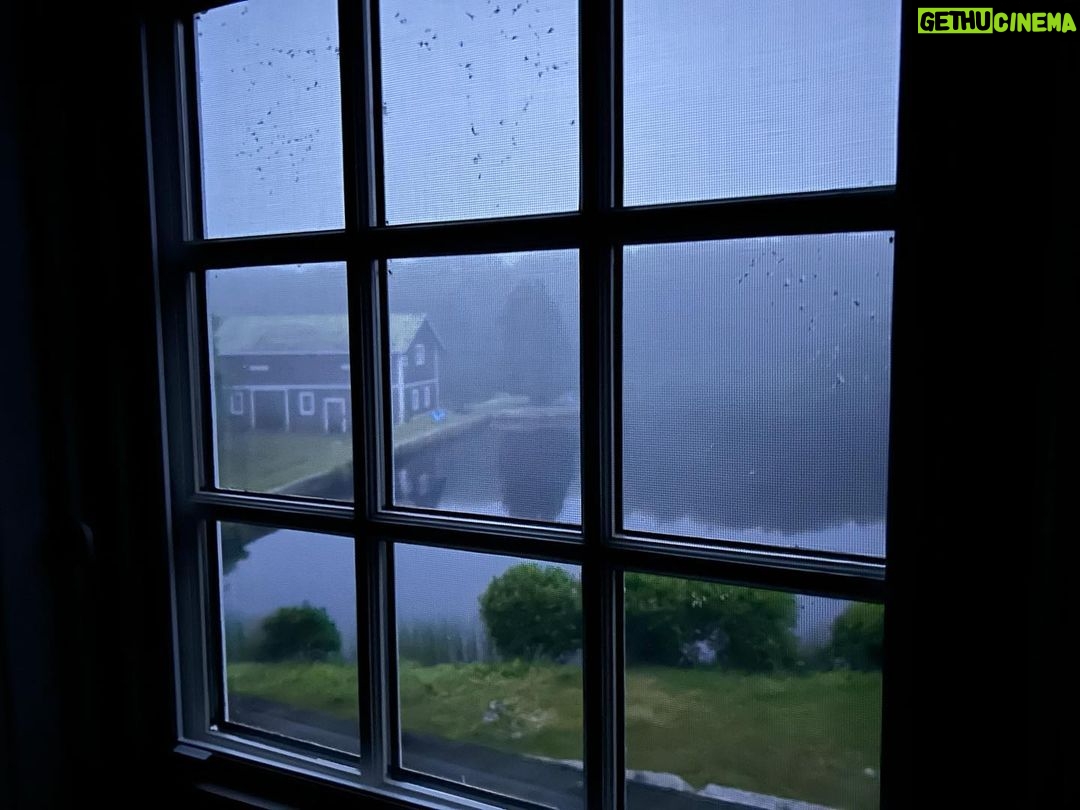 Josh Brolin Instagram - I am in a foreign land today. I wake up and see through another window I'm not current with. Outside that window are trees that don't know me nor do they hold any feeling of who I am. The sun tries to hide but in its purposeful side-flare I am even more blinded by then when before it saw me in pieces. I ran from where I was thinking that here would embrace me with opened arms. The hope is that there is somewhere in the world that isn't transient, yet what finds me now is yet another made bed without a hint of life inside it. It's just me here, like a post-apocalyptic mourning. A sadness lands, and with that discipline tests. Sounds of the recent past resound and memories are made visible using pieces of what feels was just a few days ago: a morano glass sunset, twilight wind-rains that create blue lightening that hit all of us, and that psychic red heat I've watched shrivel friends into characters you've read about in the pulp novels from the turn of the century. I have to stay here. I'll hear the birds soon and my thoughts might knock on some personal door inside my head with flowers and a strange glint in their eye supposing a long hug or something of a soft rub mid-back might be in order. Very few people give a shit about anything but what they want. There is a threshold that most people want to be enticed to cross and with great praise they will. Without the attention, they will sit, and they will shrivel, and they will wallow in an ill-reality that nobody has ever cared. And when that sucker that comes along cares, they will do everything in their power to sabotage that effort and make the person feel bad that they noticed them and wanted to reach out in the first place. There is a window I awaken to, and through that window I see a forest of flowers who all are yelling something in unison that I cannot, for the life of me, hear. I'll rest my heavy head on the pane, and wait patiently for it to break. π