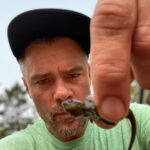 Josh Duhamel Instagram - It’s all fun and games until this little guy gains 50lbs and wants to snack on my fingers. A snapping turtle’s jaw strength has been registered between 208 and 226 Newtons of force. I don’t know exactly what that means, but I’ll probably keep my hands to myself the next time our paths cross.