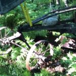 Josh Duhamel Instagram - Found this in the woods today. They call it (and sometimes me) the “Road King”