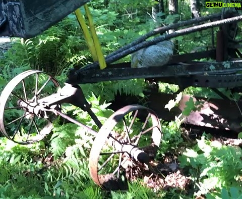Josh Duhamel Instagram - Found this in the woods today. They call it (and sometimes me) the “Road King”