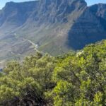 Josh Duhamel Instagram - Just hiked Lions Head mountain in beautiful Cape Town, South Africa. This city is INCREDIBLE. Oh and HAPPY NEW YEAR!!!