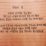 Ju-ne Instagram - 하루의 꽃