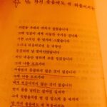 Ju-ne Instagram - 바람부는 날이면 압구정동에 가야 한다 4 ㅡ불의 부페 소망교회 앞, 주 찬양하는 뽀얀 아이들의 행렬, 촛불을 들고 억센 바람 속을 걸어간다 태초에 불이 있나니라, 이후의ㅡ 칠흙의 두메 산골을 걸어가다 발견한, 그 희미한 흔들림만으로도 반갑던 먼 곳의 등잔불이여 불빛을 발견한 오징어의 눈깔처럼 눈에 거품을 물고 돌진 돌진 불 같은 소망이 이 백야성을 만들었구나, 부릅뜬 눈의 식욕, 보기만 해도 눈에 군침이 괴는, 저 불의 부페 색의 성찬을 보라 그저 불밝히기 위해 심지 돋우던 시절은 지났다 매서운 한강 똥바람 속 촛불의 아이들은 너무도 당당해 보인다 그들을 감싸고 있는 이 도시 전체가 하나의 거대한 수정 샹들리에이므로 풍전등화, 불을 키운 건 팔 할이 바람이었다 이젠 바람도 불과 함께 놀아난다 휘황찬란 늘어진 샹들리에 주위에 붙은 똥파리 불의 소망 근처에서 불의 구린내를 빠는 똥파리의 윙윙 날개 바람 바람 속으로 빽이 든든한 촛불들이 기쁘다 구주 기쁘다 걸어간다, 보무도 당당히, 오징어의 시커먼 눈들이 신바람으로 몰려가는, 불의 부페 파티장 쪽으로 #바람부는날이면압구정동에가야한다 #유하시집 #시간나실때읽어보세요