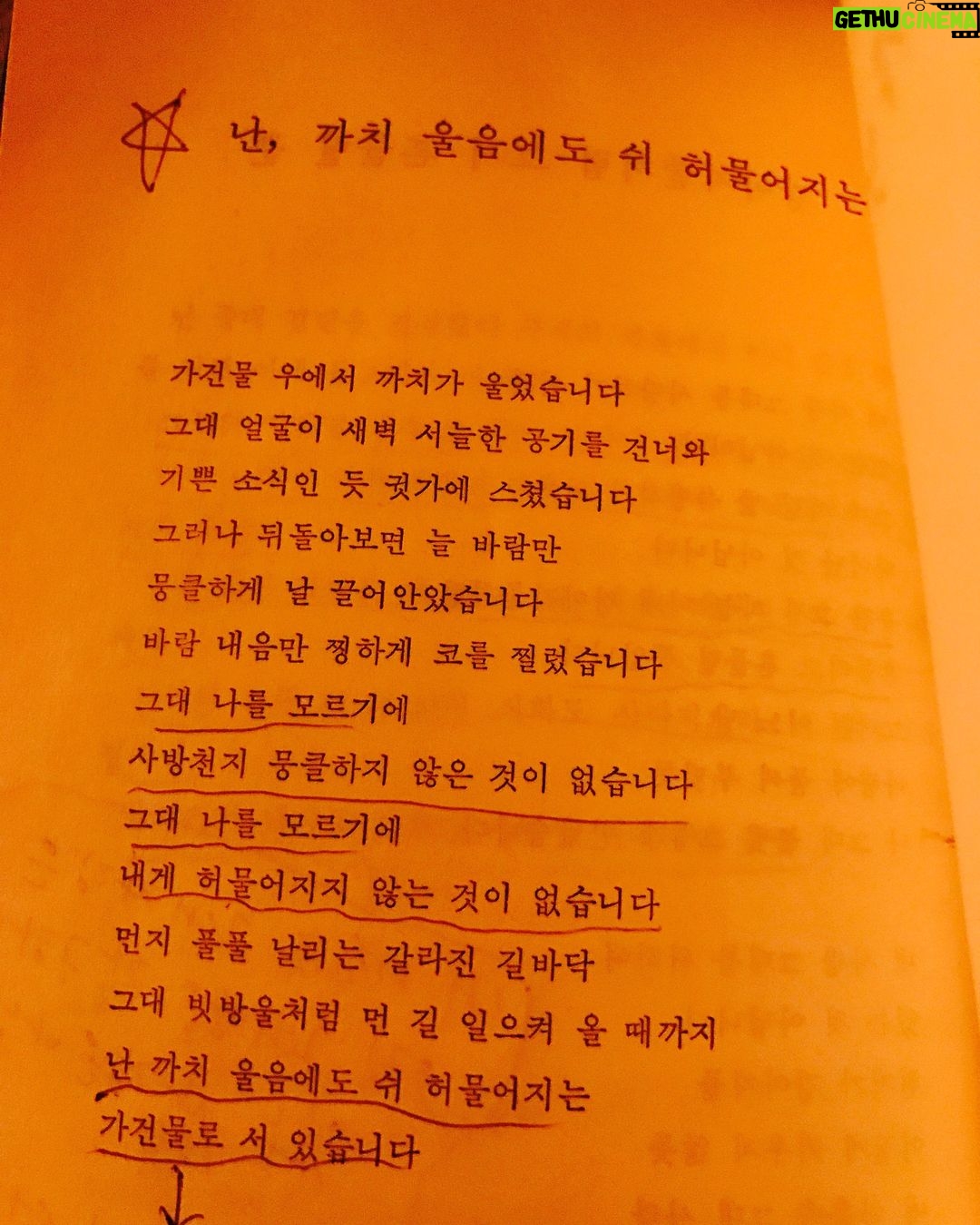 Ju-ne Instagram - 바람부는 날이면 압구정동에 가야 한다 4 ㅡ불의 부페 소망교회 앞, 주 찬양하는 뽀얀 아이들의 행렬, 촛불을 들고 억센 바람 속을 걸어간다 태초에 불이 있나니라, 이후의ㅡ 칠흙의 두메 산골을 걸어가다 발견한, 그 희미한 흔들림만으로도 반갑던 먼 곳의 등잔불이여 불빛을 발견한 오징어의 눈깔처럼 눈에 거품을 물고 돌진 돌진 불 같은 소망이 이 백야성을 만들었구나, 부릅뜬 눈의 식욕, 보기만 해도 눈에 군침이 괴는, 저 불의 부페 색의 성찬을 보라 그저 불밝히기 위해 심지 돋우던 시절은 지났다 매서운 한강 똥바람 속 촛불의 아이들은 너무도 당당해 보인다 그들을 감싸고 있는 이 도시 전체가 하나의 거대한 수정 샹들리에이므로 풍전등화, 불을 키운 건 팔 할이 바람이었다 이젠 바람도 불과 함께 놀아난다 휘황찬란 늘어진 샹들리에 주위에 붙은 똥파리 불의 소망 근처에서 불의 구린내를 빠는 똥파리의 윙윙 날개 바람 바람 속으로 빽이 든든한 촛불들이 기쁘다 구주 기쁘다 걸어간다, 보무도 당당히, 오징어의 시커먼 눈들이 신바람으로 몰려가는, 불의 부페 파티장 쪽으로 #바람부는날이면압구정동에가야한다 #유하시집 #시간나실때읽어보세요