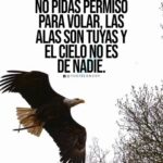 Juan A. Baptista Instagram - Reflexión⏱🦋Gratitud ❤️🍀