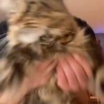Juan A. Baptista Instagram – Sabroso para bailar🐈🎱♦️🍀 #salsayo