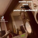 Juan A. Baptista Instagram – Alebrije 🎵
