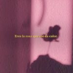 Juan Luis Guerra Instagram - Una cartita de amor para un día como hoy. Etiqueta a tu ❤️ en los comentarios.
