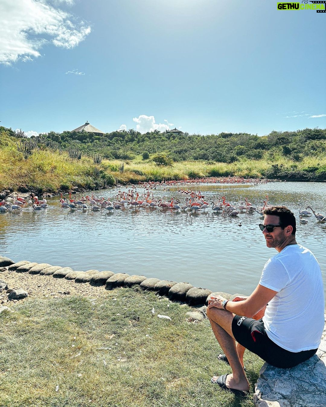 Juan Martin del Potro Instagram - Un poco de paz, naturaleza 🦩🦢 #peace #nature