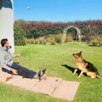 Juan Martin del Potro Instagram - Él esta siempre bancando para que los días sean más entretenidos 🐶 . . He is always there supporting me and makes my days more entertaining