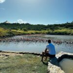 Juan Martin del Potro Instagram - Un poco de paz, naturaleza 🦩🦢 #peace #nature