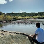 Juan Martin del Potro Instagram - Un poco de paz, naturaleza 🦩🦢 #peace #nature