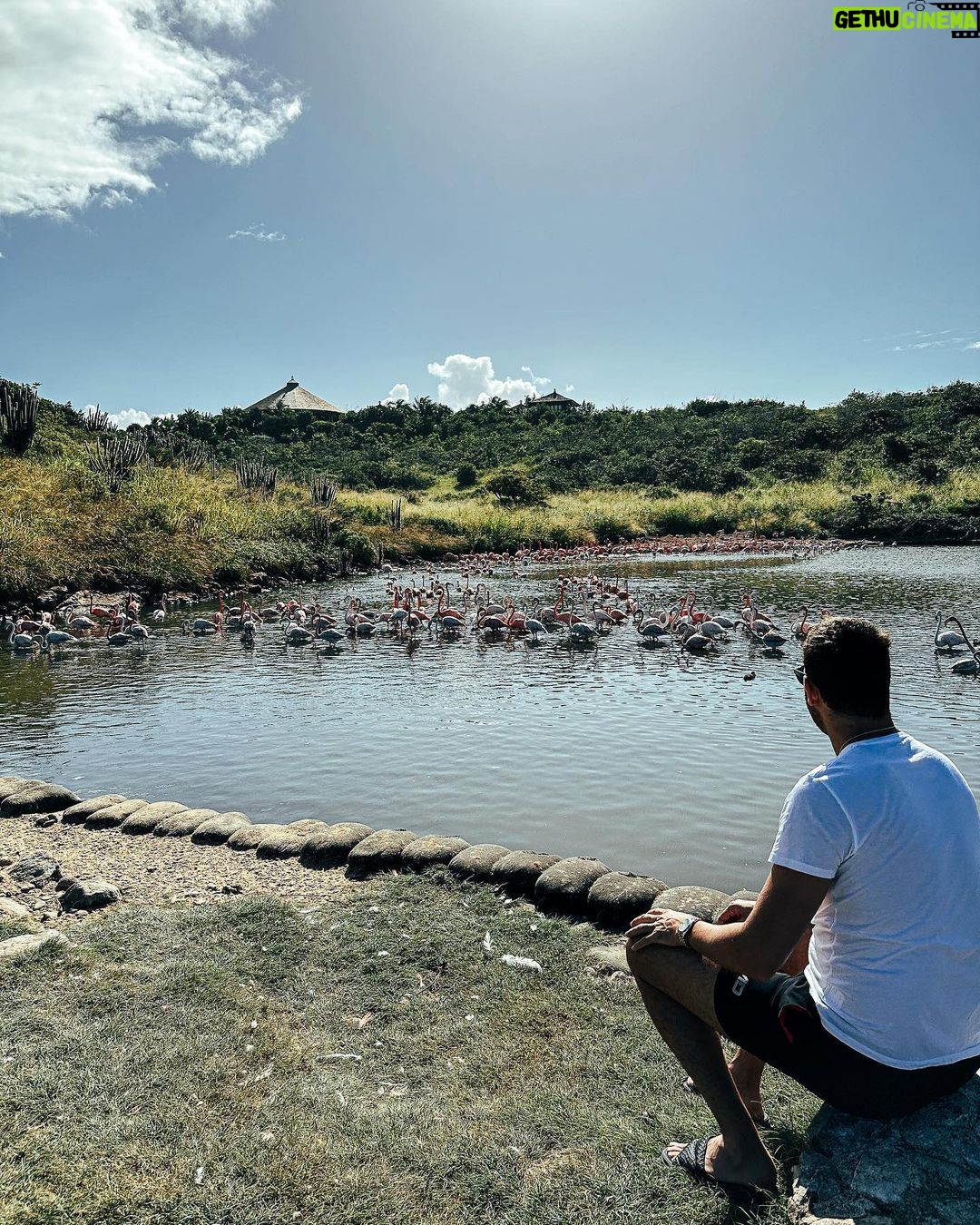 Juan Martin del Potro Instagram - Un poco de paz, naturaleza 🦩🦢 #peace #nature