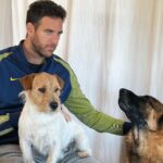 Juan Martin del Potro Instagram - Tarde de amor con mis amiguitos. 🫶🐶🐾
