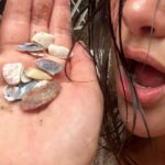 Jules LeBlanc Instagram - 🐚🪸🪷🌾💐🌺🌸🦪