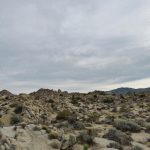 Julia Barretto Instagram - Unreal 🤍🤍🤍🤍 Joshua Tree National Park