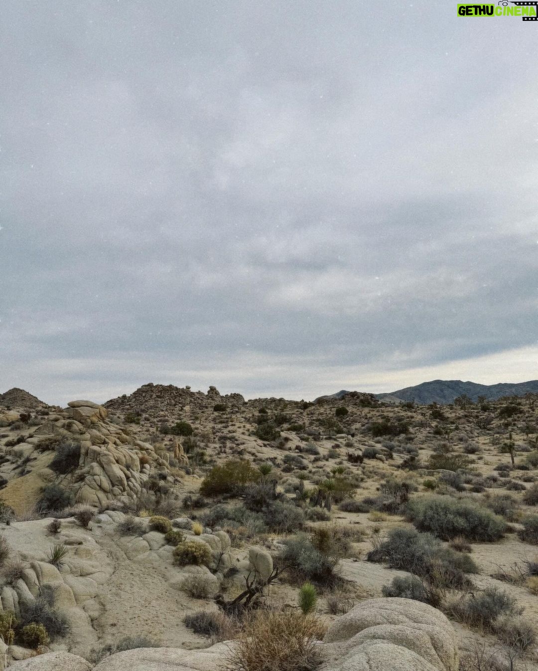Julia Barretto Instagram - Unreal 🤍🤍🤍🤍 Joshua Tree National Park