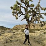 Julia Barretto Instagram - Unreal 🤍🤍🤍🤍 Joshua Tree National Park