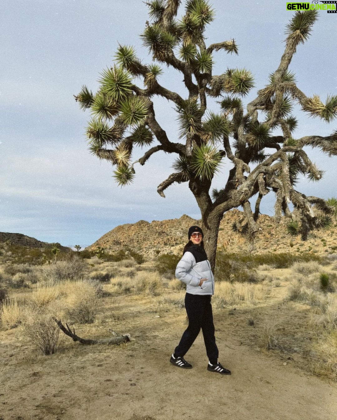 Julia Barretto Instagram - Unreal 🤍🤍🤍🤍 Joshua Tree National Park