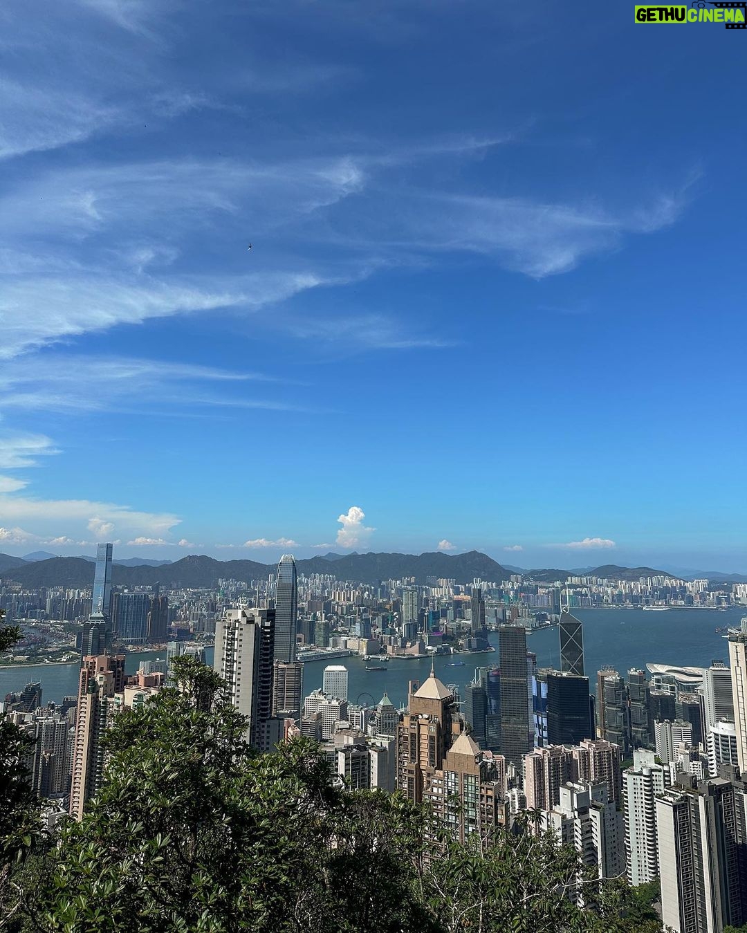Julia Barretto Instagram - Always a good idea 🌳 Hong Kong