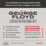 Julia Louis-Dreyfus Instagram - Accountability for #GeorgeFloyd’s death requires more than a conviction. Join me and the @NAACP_LDF in calling your Senators to pass the George Floyd Justice in Policing Act. The bill ends qualified immunity which is critical to holding officers accountable for their actions.
