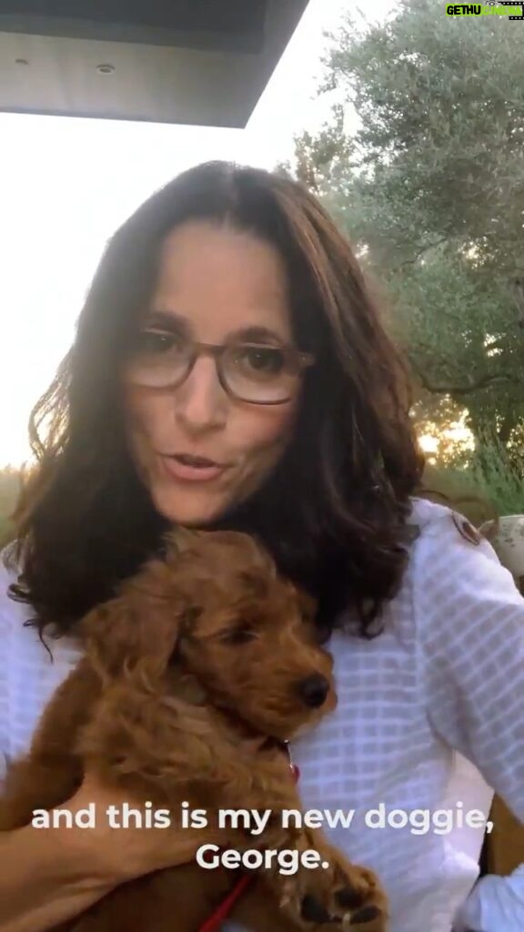 Julia Louis-Dreyfus Instagram - Today is your LAST day to register to vote. If you still need to register and would like an absentee ballot, go to iwillvote.com/PA (in my bio). Then, listen to me and George 🐶 walk you through the steps for how to mail in your ballot. 15 days until the election! @PADems