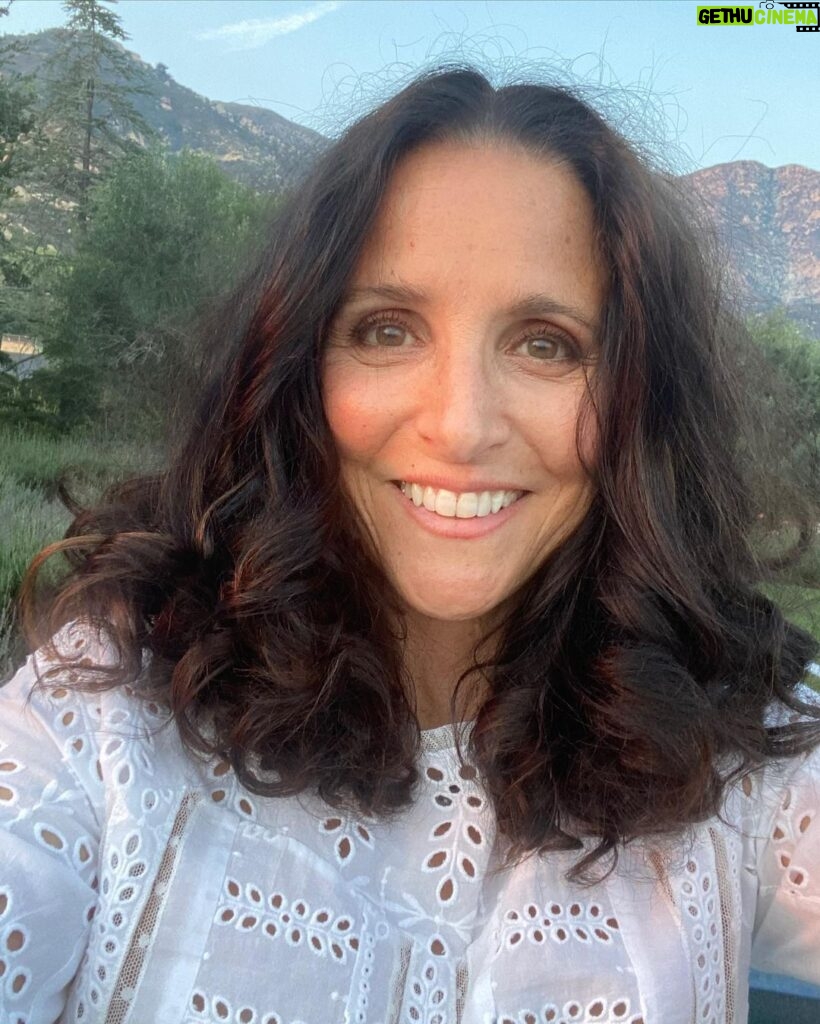 Julia Louis-Dreyfus Instagram - Thank you @WisDems for the fun #VeepReunion and the opportunity to wear makeup. You can still donate and watch on demand ➡️ WisDems.org/Veep - Link In Bio. In 2016, the Dems lost the Presidential election in Wisconsin by less than 1%! Let’s turn up & turn it blue! #BidenHarris2020