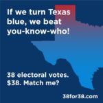 Julia Louis-Dreyfus Instagram - Win Texas. Lose Trump. Donate at 38for38.com and please share! With 38 electoral votes, Texas can change this country for a generation if we #TurnTexasBlue together. Every $1 can register 2 Texans to vote! Join the movement! #38for38