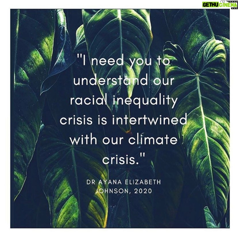 Julia Louis-Dreyfus Instagram - Join me this Juneteenth at 10a PT / 1p ET for an Instagram Live with Dr. Ayana Elizabeth Johnson ( @ayanaeliza ) as she and I talk about the intersection between racism and the climate crisis. After the live concludes, she will be taking over my social media channels and sharing her invaluable expertise. Feel free to submit questions now in the comments! #BlackLivesMatter #PassTheMic #ClimateCrisis