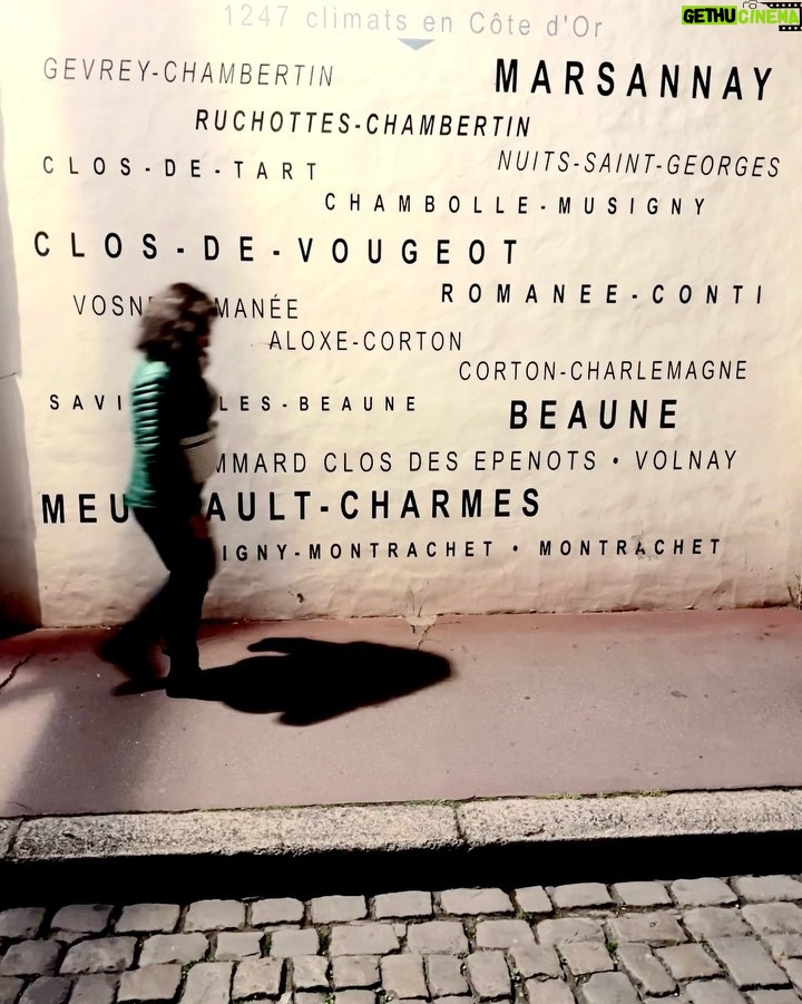 Julia Louis-Dreyfus Instagram - Wine walking