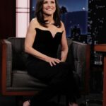 Julia Louis-Dreyfus Instagram – I always love to hang with @jimmykimmellive 

#YouPeopleMovie on @netflix this Friday! 

Hair: @matthewmonzon 
Makeup: @karenkawahara 
Styling: @kevinmichaelericson 
Alterations: @s.rothan 
Jumpsuit: @saloniofficial 
Jewelry: @ireneneuwirth