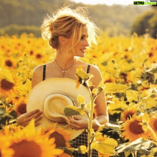 Julia Roberts - 485K Likes - October, I have always had a lot of faith in you. Don’t let us down. 🌻 #weareinthistogether #wearamask #vote #wtfarewewaitingfor