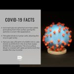 Julia Roberts Instagram – Hi, Dr. Tony Fauci here. I’d like to start with some basics. The more we know about a virus, the better we are able to develop new treatments, tests, and vaccine candidates. These graphics talk about the structure and origins of the virus. Coronaviruses are a family of viruses that derive their name from the fact that, when viewed by an electron microscope, each virion is surrounded by a “corona,” or halo. These spikes, with their crown-like appearance, allow the virus to gain entry to the human body. This current outbreak is from the SARS-CoV-2 strain in the coronavirus family. The infection in the human body is called #COVID19. 
@NIHgov @NIAID #NIH #NIAID #COVID19 #Coronavirus #Origins #Structure #PassTheMic @ONE