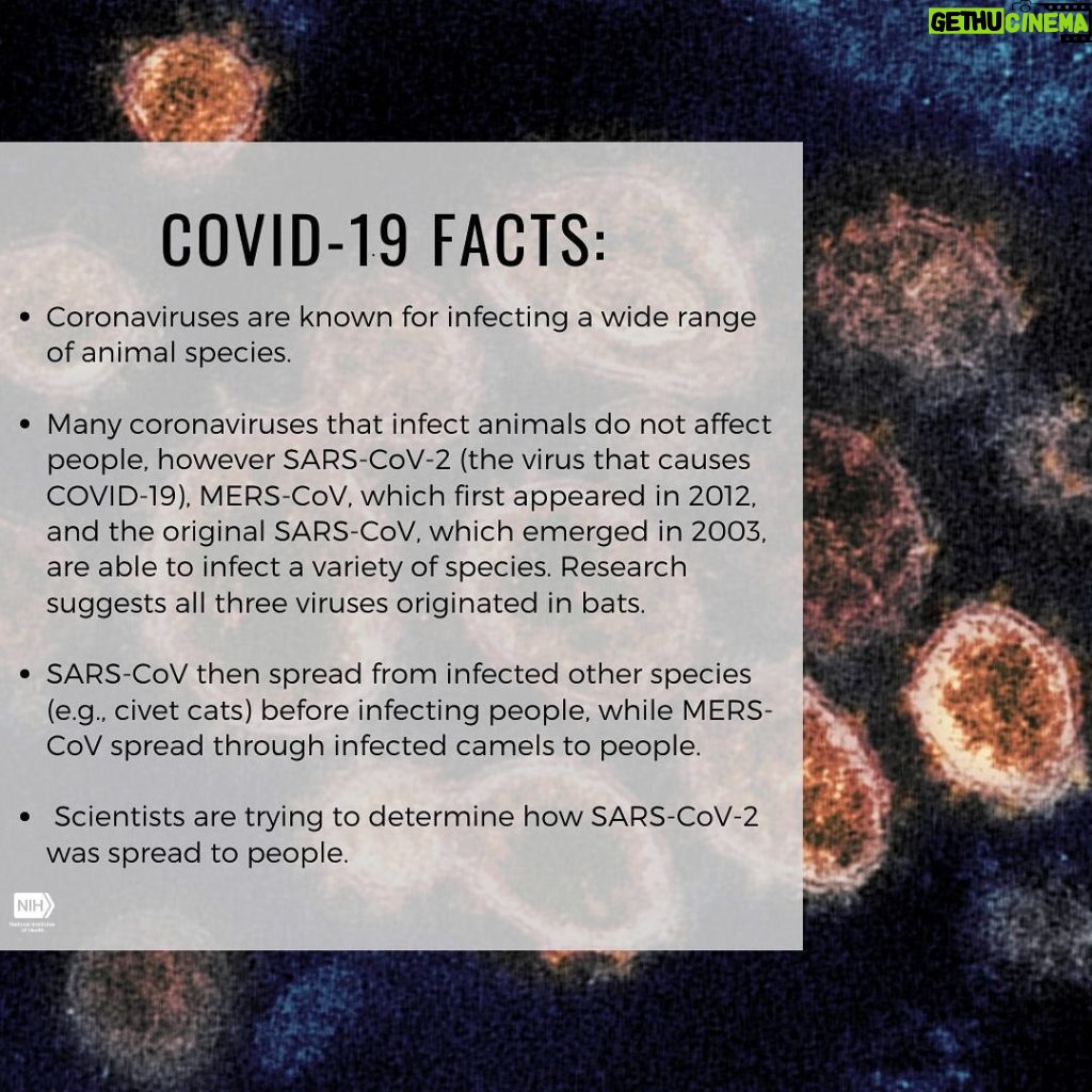Julia Roberts Instagram - Hi, Dr. Tony Fauci here. I’d like to start with some basics. The more we know about a virus, the better we are able to develop new treatments, tests, and vaccine candidates. These graphics talk about the structure and origins of the virus. Coronaviruses are a family of viruses that derive their name from the fact that, when viewed by an electron microscope, each virion is surrounded by a “corona,” or halo. These spikes, with their crown-like appearance, allow the virus to gain entry to the human body. This current outbreak is from the SARS-CoV-2 strain in the coronavirus family. The infection in the human body is called #COVID19. @NIHgov @NIAID #NIH #NIAID #COVID19 #Coronavirus #Origins #Structure #PassTheMic @ONE